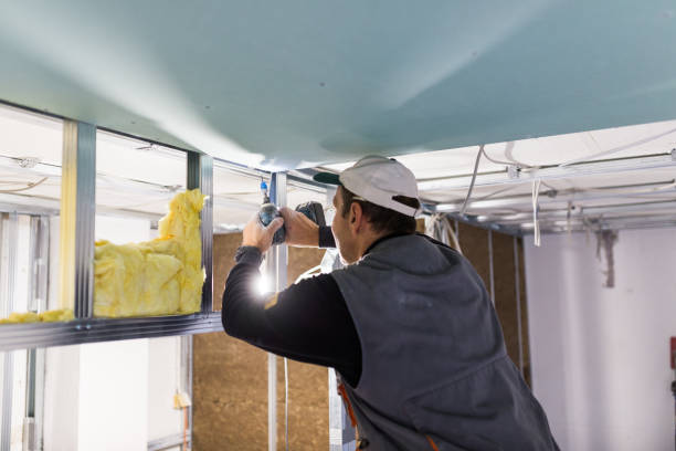 Best DIY Insulation Kits and Guidance in Swartz Creek, MI