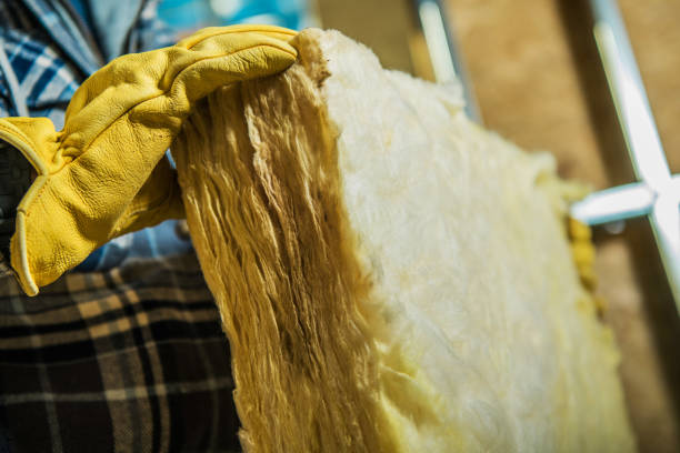 Best Specialized Insulation Services in Swartz Creek, MI