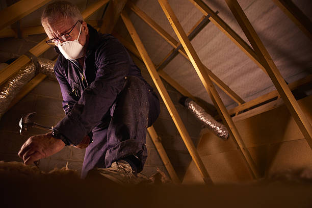 Best Insulation Maintenance and Repair in Swartz Creek, MI